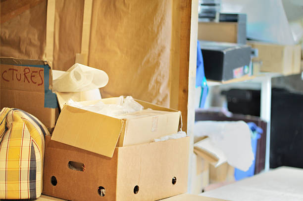 Best Property Management Cleanouts  in Birch Run, MI